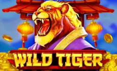 wild_tiger_cover